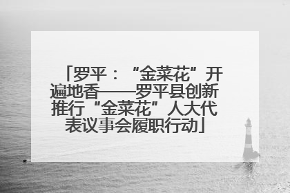 罗平：“金菜花”开遍地香——罗平县创新推行“金菜花”人大代表议事会履职行动